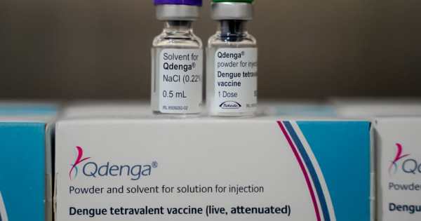 Goiás: Secretaria de Estado de Saúde inicia distribuição da vacina contra a dengue