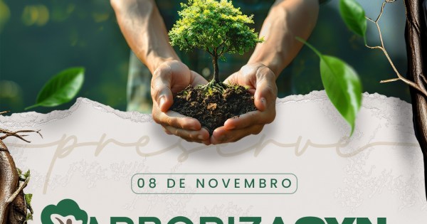 Goiânia: ArborizaGyn projeta plantar 50 mil mudas de árvores em área de preservação no Residencial Três Marias, na sexta-feira (8/11)
