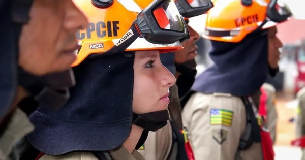 Média salarial das mulheres em Goiás bate recorde e atinge maior nível pelo segundo ano consecutivo