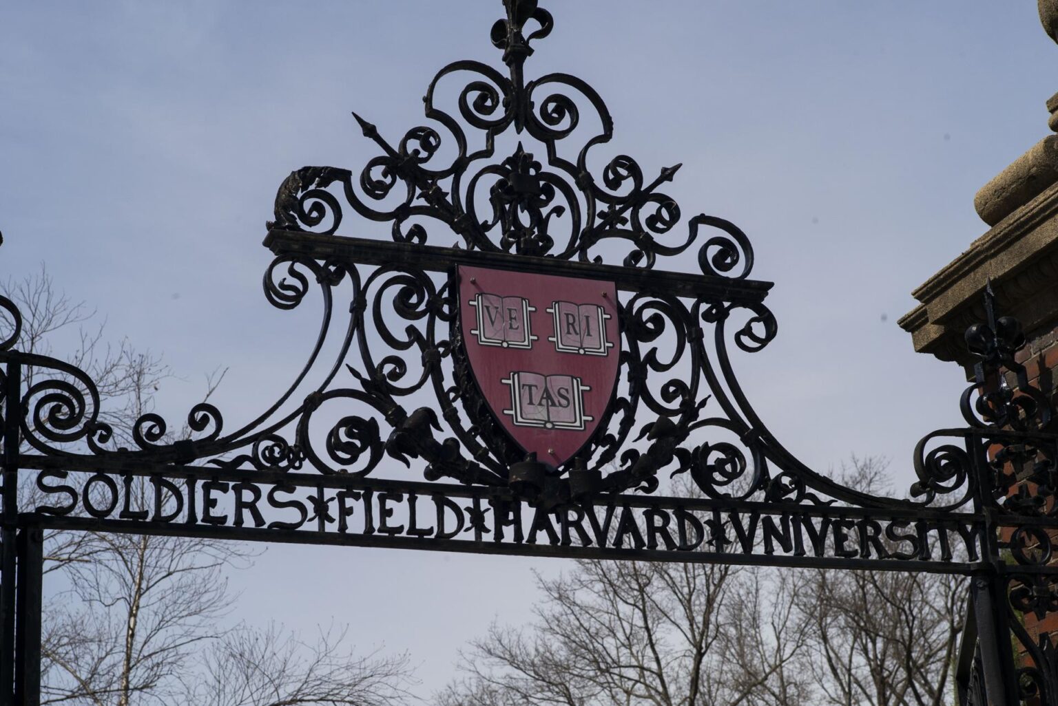 Governo Trump suspende bolsas de pesquisa em Harvard