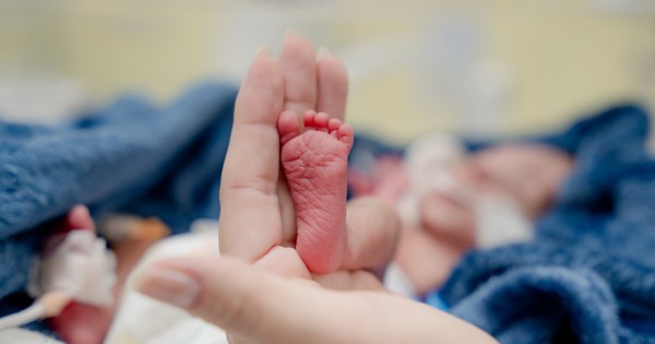 Novembro Roxo reforça cuidados e prevenção à prematuridade em Goiás