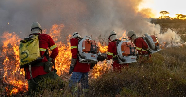 Edital emergencial destina até R$ 800 mil para ações de prevenção a incêndios no Cerrado goiano