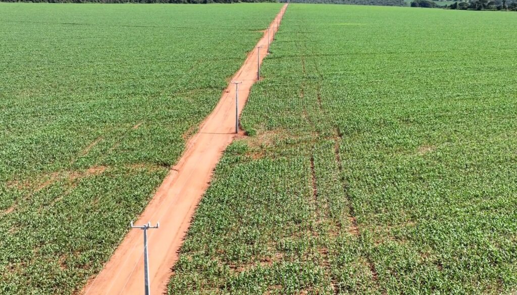 Potência do agro goiano, Cristalina recebe reforços na rede elétrica para acompanhar crescimento da produção e das atividades econômicas