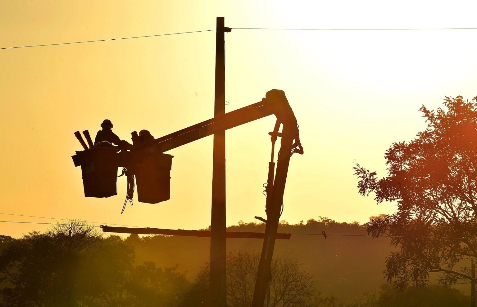 Ipameri e Nova Aurora recebem mutirão da Equatorial Goiás com mais de 100 intervenções de livramento de rede e manutenção da rede elétrica