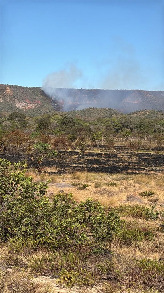 No Nordeste de Goiás incêndio florestal mobiliza força-tarefa e mantém atenção redobrada na região de Terra Ronca