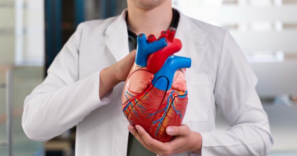 5 males do coração que podem ser evitados indo ao cardiologista