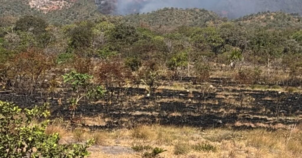 No Nordeste de Goiás incêndio florestal mobiliza força-tarefa e mantém atenção redobrada na região de Terra Ronca