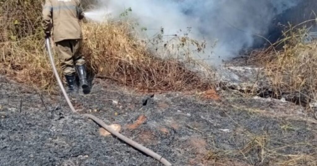 Brigada Municipal combate 11 incêndios em parques de Goiânia desde agosto
